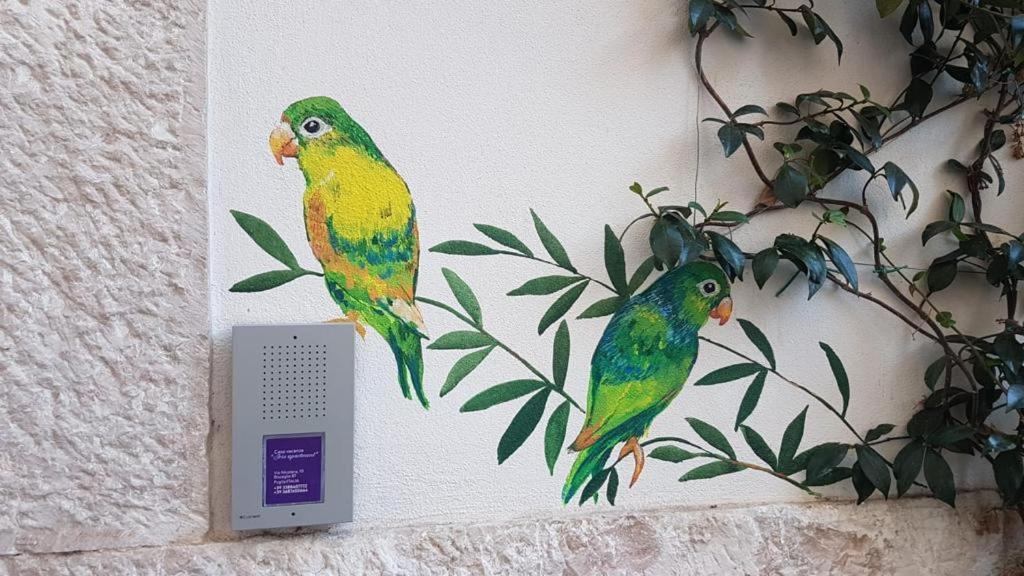 Iris Apartment Bisceglie Zewnętrze zdjęcie