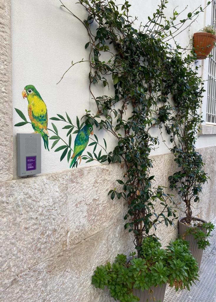 Iris Apartment Bisceglie Zewnętrze zdjęcie